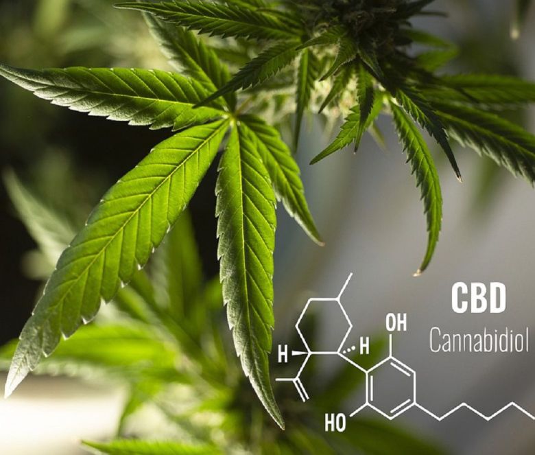 cannabis leaf