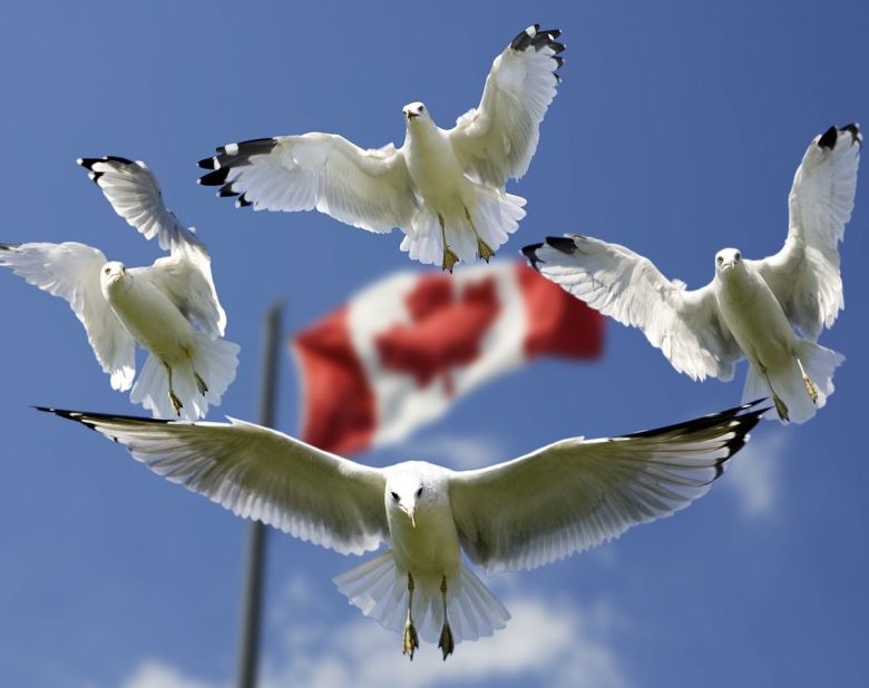 canada flag