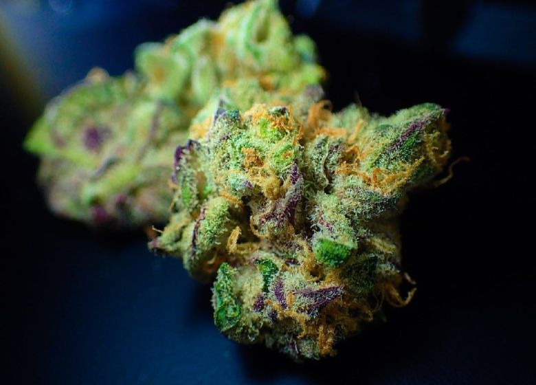 cannabis flower bud nug