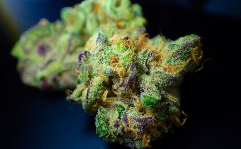 cannabis flower bud nug