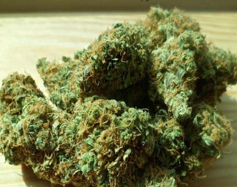 cannabis flower buds