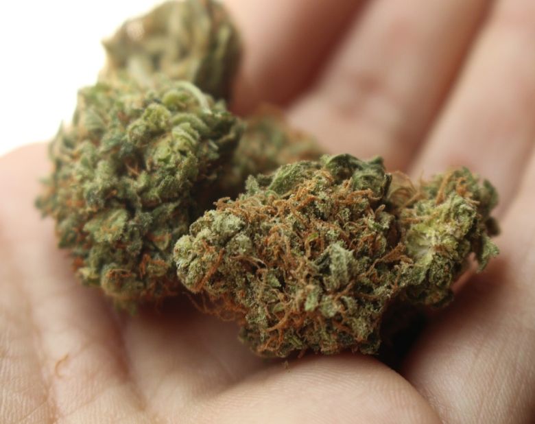 cannabis flower