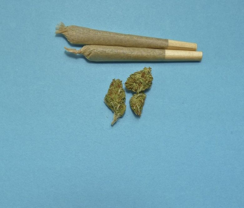 cannabis joint flower preroll prerolls