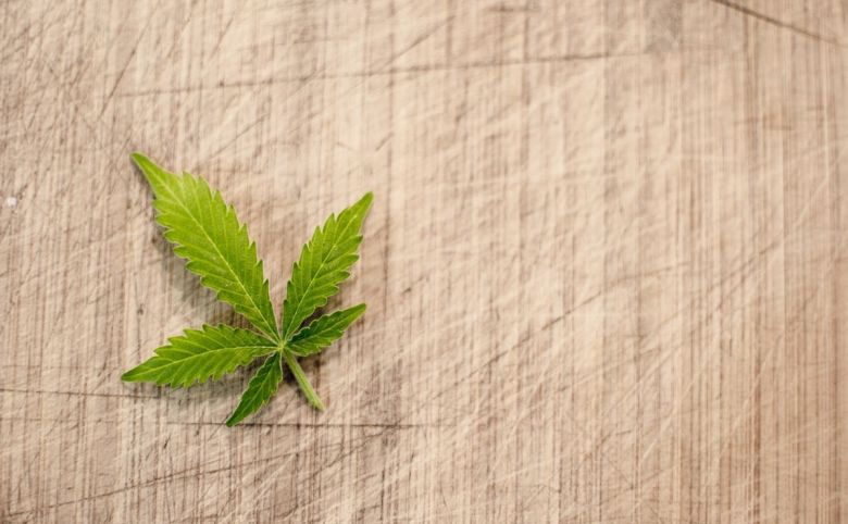 cannabis leaf
