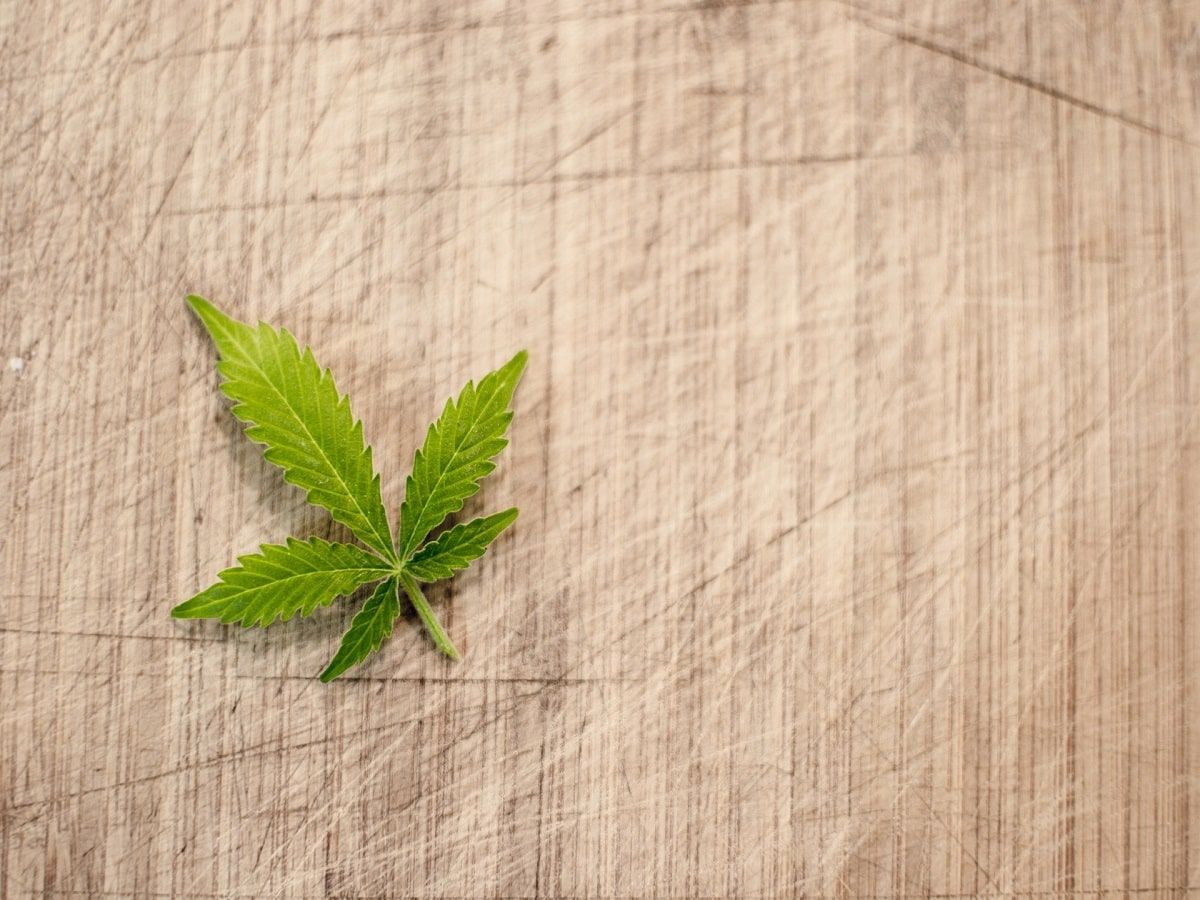 cannabis leaf