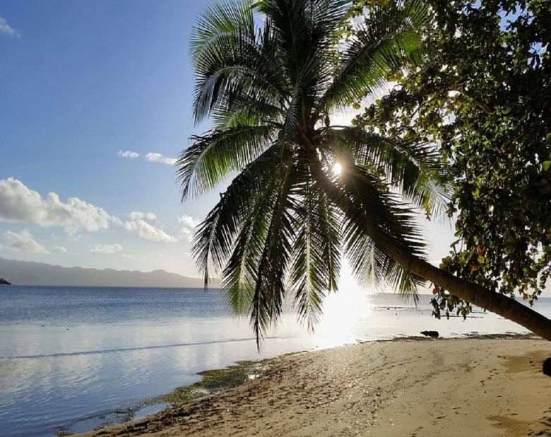 fiji beach tropical paradise