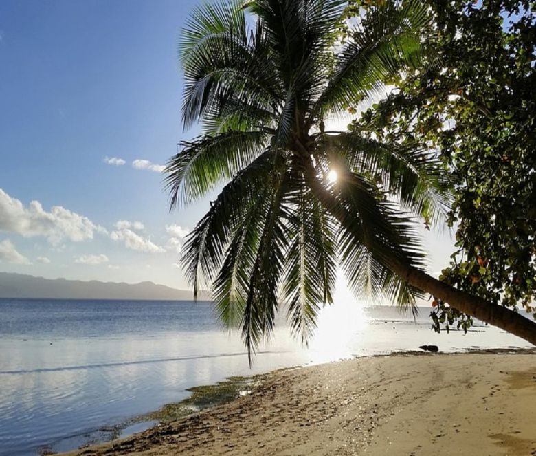 fiji beach tropical paradise