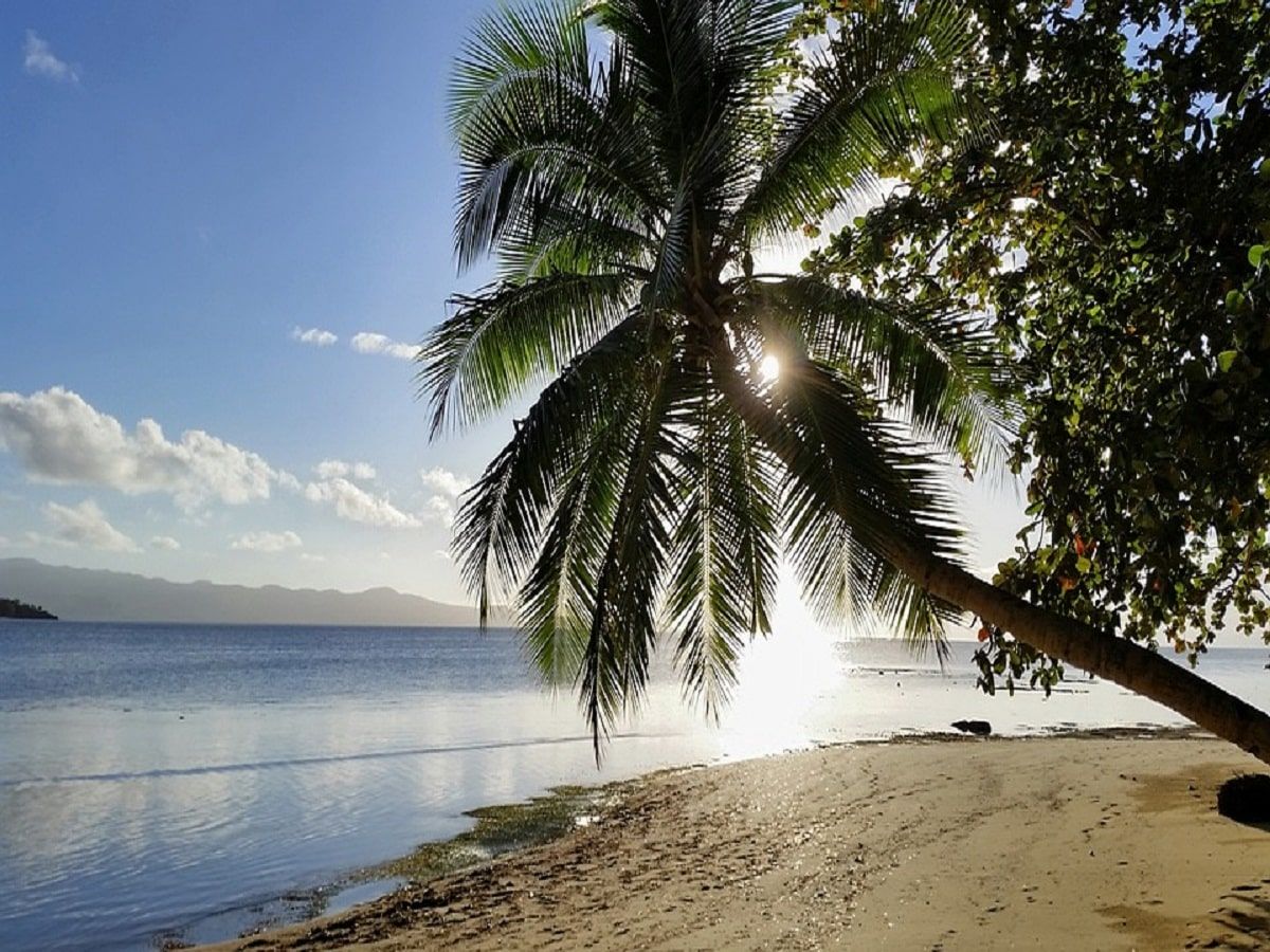 fiji beach tropical paradise