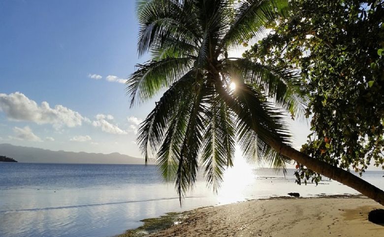 fiji beach tropical paradise