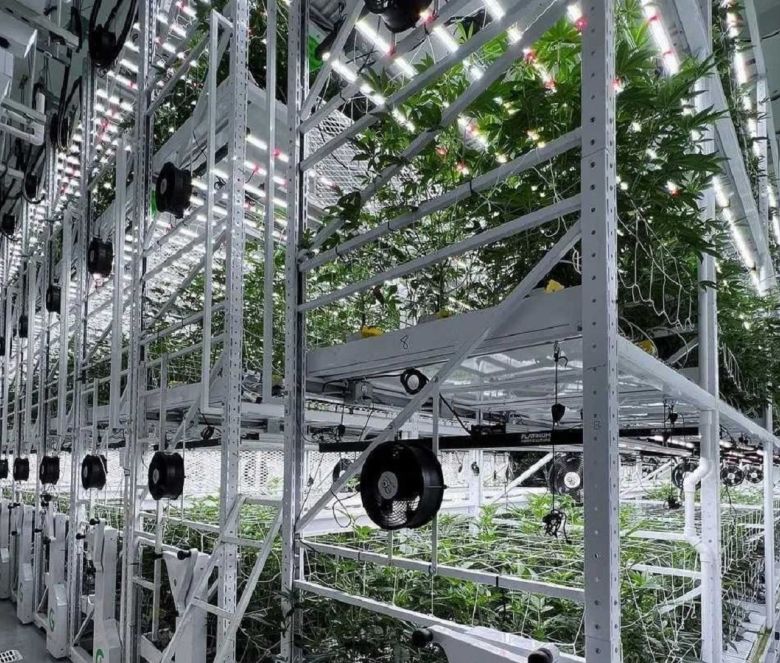 grow glide cannabis cultivation facility racks