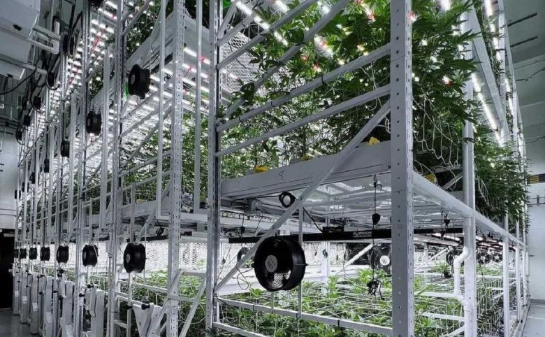 grow glide cannabis cultivation facility racks