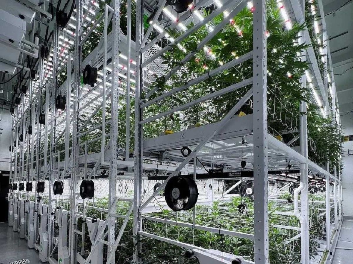 grow glide cannabis cultivation facility racks