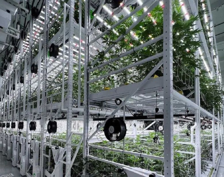 grow glide cannabis cultivation facility racks