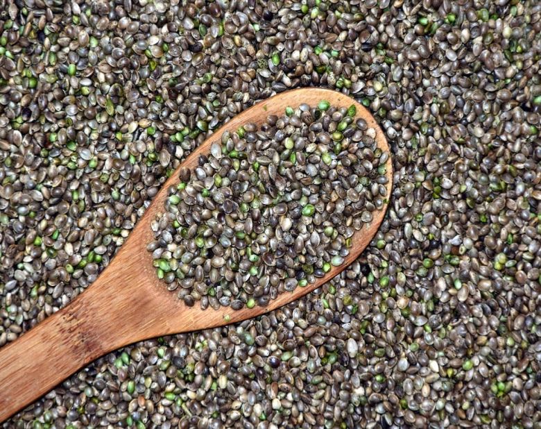 hemp seed