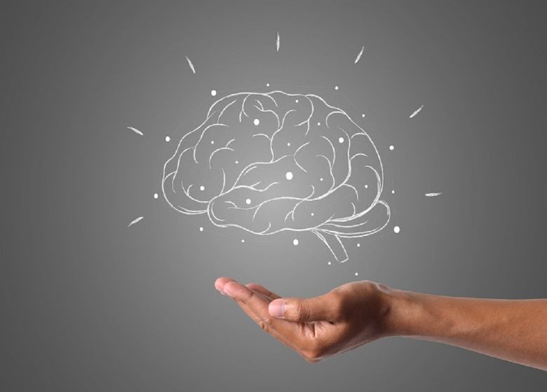 human brain