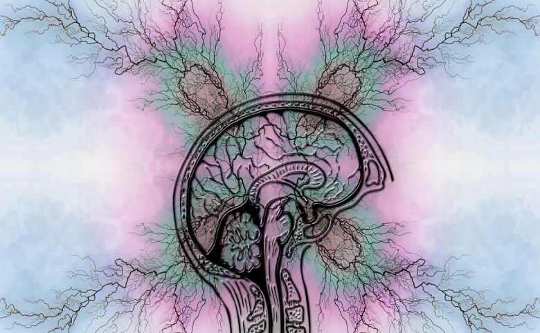tourette syndrome brain