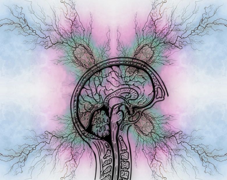 tourette syndrome brain