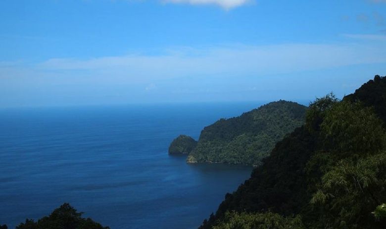 trinidad and tobago beach coast ocean